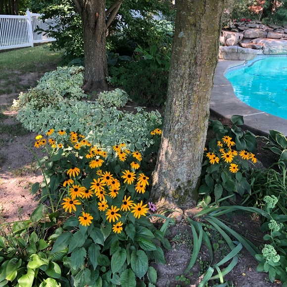 Meet your Posher, Barb - Picture 3 of 4